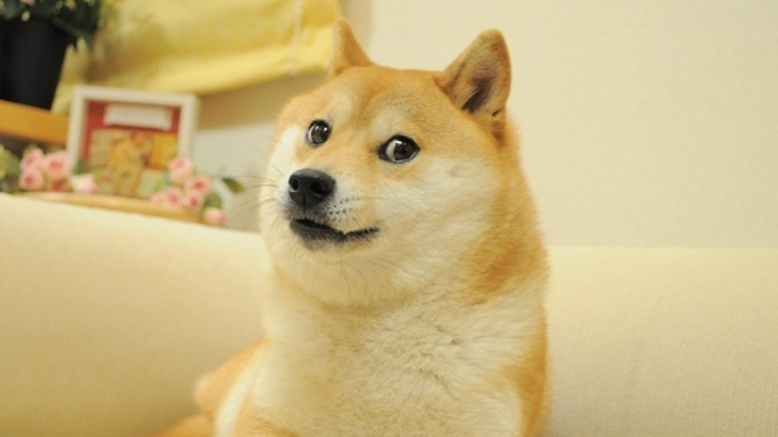 Doge Unblocker