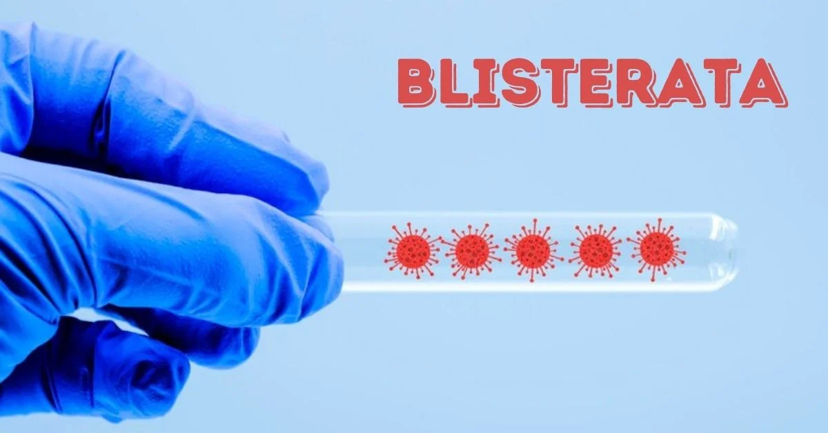 blisterata