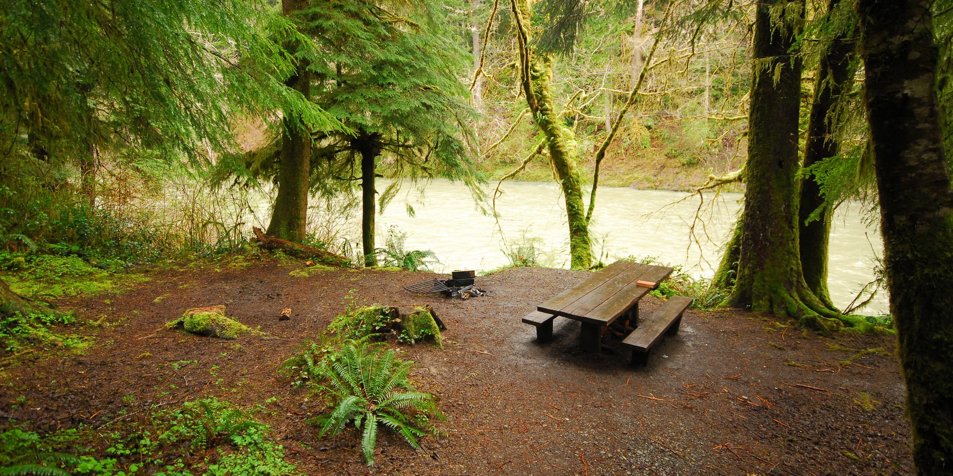 hoh oxbow campground