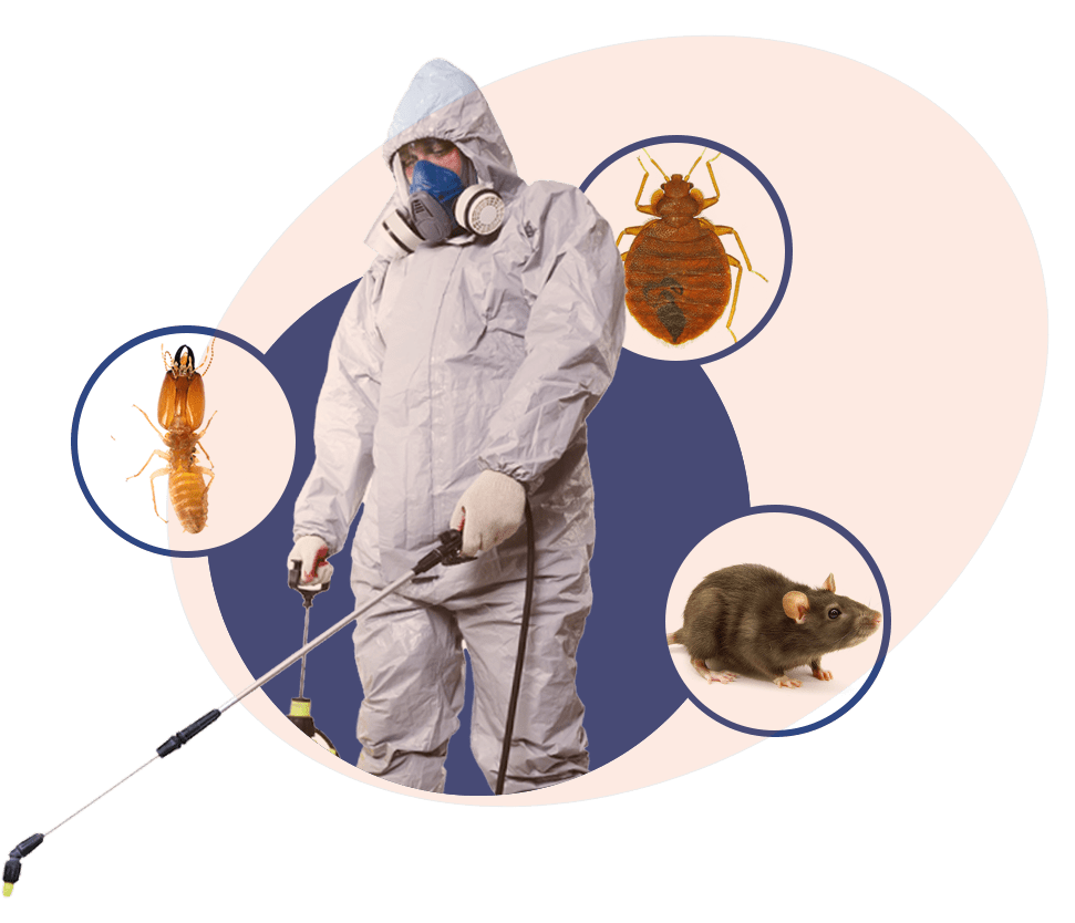 pest control Aurora IL